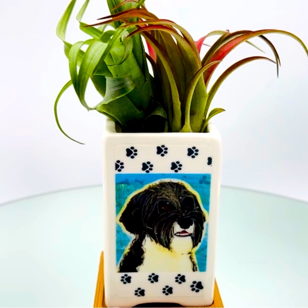 PORTUGUESE WATER DOG Art Hand Crafted Home Decor Planter Office Desktop Pet Gift